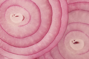 A Guide To Onions: How To Know Which Kind To Use