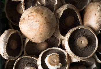 Cooking with Mushrooms: 5 Meal Ideas