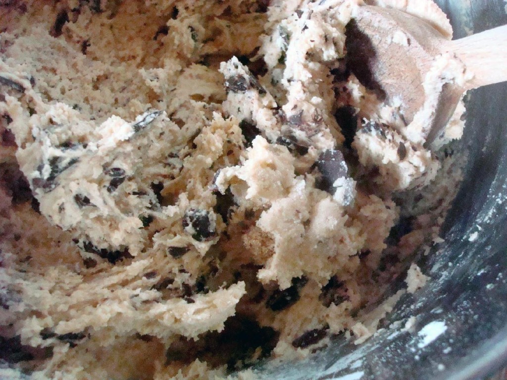 mixing_chocolate_chip_cookie_doe